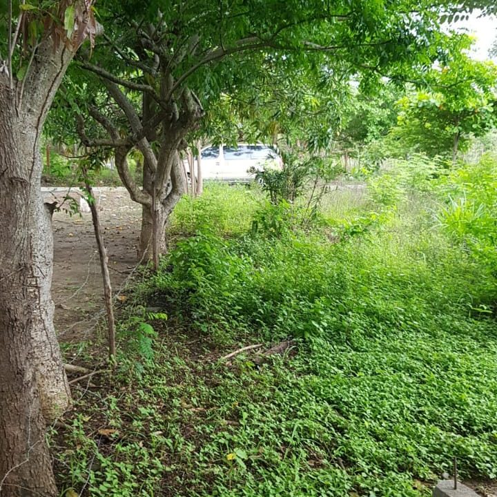 JMVE0801