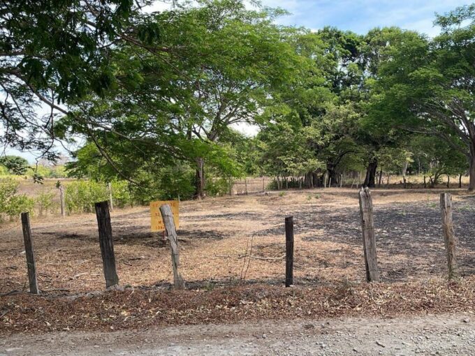 Lote Abellán